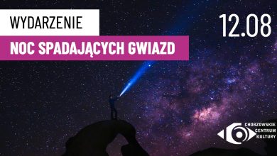 Spadające gwiazdy nad Parkiem Śląskim? Będzie można je wspólnie oglądać!