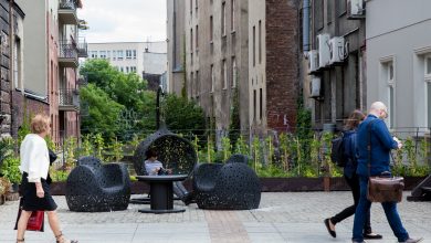 Nasadzenia nowych drzew, zazielenienie przystanków, budki lęgowe dla ptaków czy też zajęcia z recyclingu – to wszystko pomysły mieszkańców, które zostaną zrealizowane w tym roku w ramach I edycji tzw. Zielonego Budżetu. [fot. poglądowa / UM Katowice]