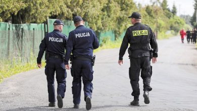 Nadal trwają poszukiwania 5-latka. Gdzie jest Dawid Żukowski? Szukają go wzdłuż autostrady A2