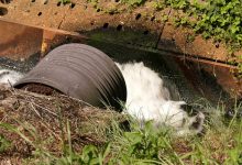 Ruda Śląska: Kamera 24h/dobę sprawdza, co wpada do Potoku Bielszowickiego!