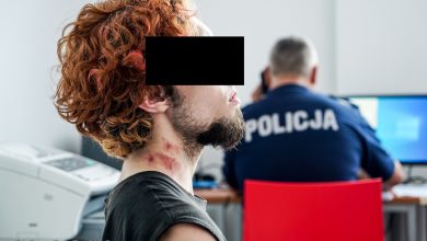 Fałszywy alarm bombowy na Pol'and'Rock. 20-latek ze Śląska zatrzymany (fot.Policja Lubuska)