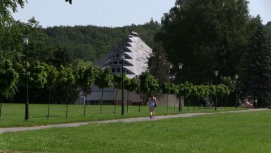 Radni Prawa i Sprawiedliwości z Chorzowa przygotowali deklarację, której efektem miała być wyrażona przez radę miasta wola uznania terenów Parku Śląskiego za Zespół Przyrodniczo-Krajobrazowy