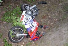 Zderzenie motocyklisty z łosiem. 21-latek zmarł w szpitalu (fot. Policja Lubelska)