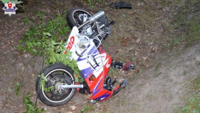 Zderzenie motocyklisty z łosiem. 21-latek zmarł w szpitalu (fot. Policja Lubelska)