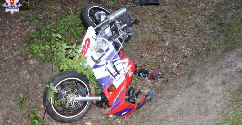 Zderzenie motocyklisty z łosiem. 21-latek zmarł w szpitalu (fot. Policja Lubelska)