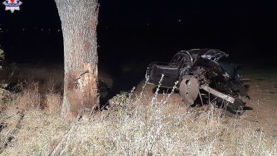 Wjechali w drzewo. 19 i 16-latek nie żyją (fot. Policja Lubelska)