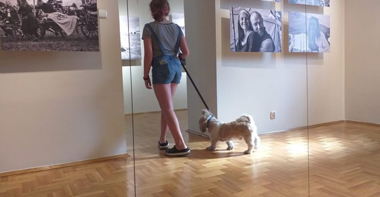 Kobieta prowadząca psa na smyczy w galerii sztuki (fot. Zamek Sielecki)