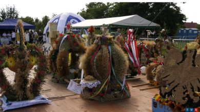 Dożynki w Goleniowach. Zobacz, jak wyglądało święto rolników [WIDEO]