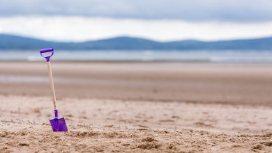 Szarżował autem po plaży, prawie rozjechał plażowiczów. Miał w organizmie 3,5 promila (fot.poglądowe/www.pixabay.com)