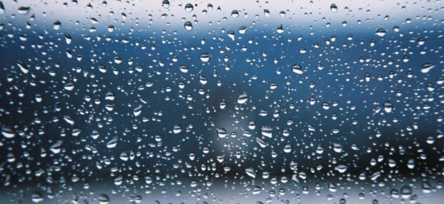 Gliwice: Łap deszczówkę. Program "Mój deszcz" z dotacją 4 tysięcy złotych