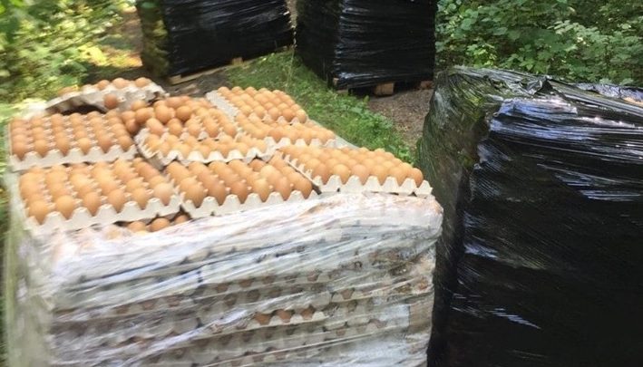 Jaja w lesie znaleźli leśnicy dzisiaj rano. W sumie do lasu trafiły 4 palety jaj. Ktoś palety z jajami porzucił na środku leśnej drogi (fot.Nadleśnictwo Kudypy)