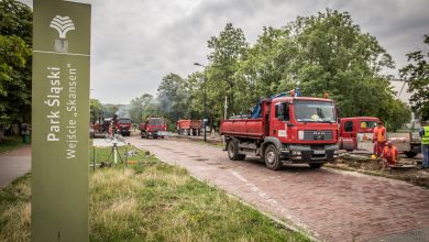 Modernizacja Parku Śląskiego. Ruszyły remonty alejek (fot.Park Śląski)