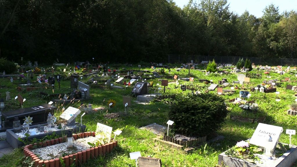 Cmentarz dla zwierząt w Katowicach. Na taki pomysł wpadli katowiccy radni