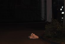 Dziwne pakunki pod budynkami policji i straży pożarnej. 37-latek zatrzymany (fot.KPP Grajewo)