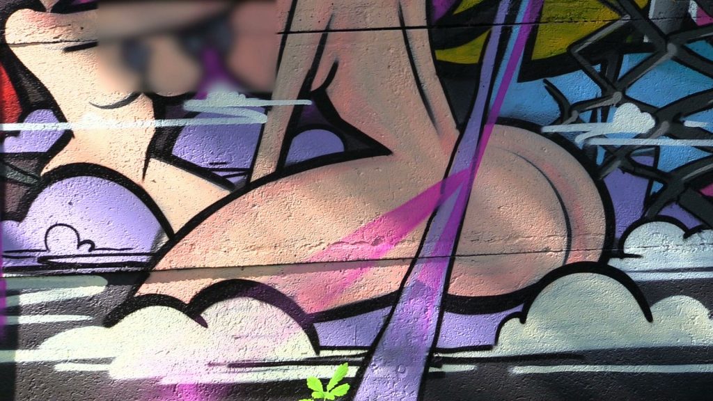 Dwie nagie bohaterki kreskówek na murze. Kontrowersyjne graffiti powstało w Rybniku