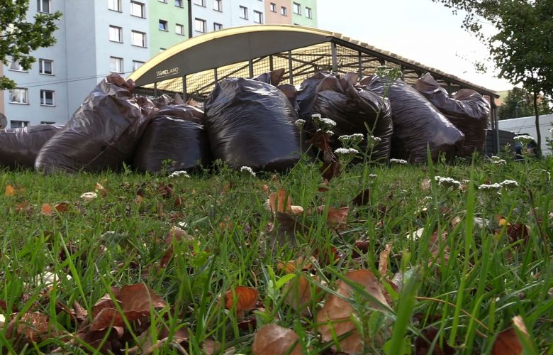 Kubły na odpady biodegradowalne są za małe - mówią mieszkańcy Jaworzna i proszą o większe