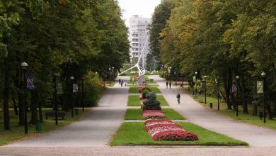 Park kulturowy powstanie w Chorzowie? Polityczne przepychanki nad Parkiem Śląskim [WIDEO]