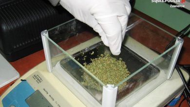 Zawiercie: uderzenie w narkobiznes. Zatrzymano cztery osoby