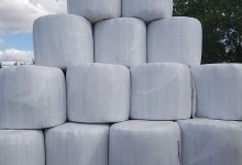 Czy można ukraść cała pole? Na to pytanie policja odpowiada - TAK! Tego wyczynu dokonał w pojedynkę 27-letni mężczyzna (fot.policja)