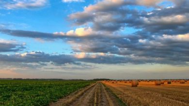 Smród w Piekarach Śląskich! Czym jest spowodowany?