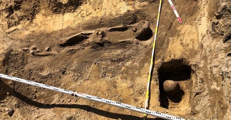 Szczątki ludzkie znalezione w Rybniku.Znaleziono 200 pojedynczych kości (fot. UM Rybnik)