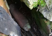 Ewakuacja w Ptakowicach koło Tarnowskich Gór. Wszystko przez niewybuch. Na przedmiot przypominający pocisk artyleryjski natrafił wczoraj właściciel nowo nabytej posesji (fot.KPP Tarnowskie Góry)