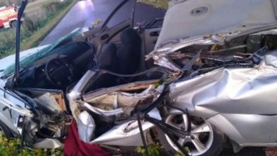 Auto zmiażdżone przez drzewo [ZDJĘCIA] Kierowca chevroleta zginął na miejscu (fot.Policja Podkarpacka)