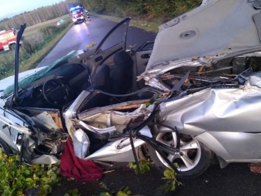 Auto Zmiażdżone Przez Drzewo [Zdjęcia] Kierowca Chevroleta Zginął Na Miejscu