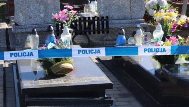 Bytom: Ktoś zdewastował cmentarz przy ul. Jordana. Policja szuka sprawcy i świadków (fot.Śląska Policja)