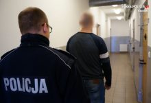 Śląskie: Wyrzucił kota przez okno jak śmieć! Ale odpowie za coś jeszcze...