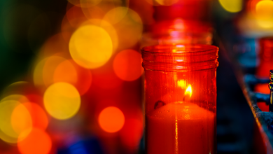 Jan Szyszko nie żyje. Zmarł były minister ochrony środowiska. Zmarł w wieku 75 lat.