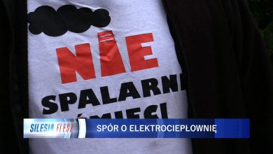 W Rudzie Śląskiej, nieopodal Drogowej Trasy Średnicowej, powstać miało Ekologiczne Centrum Odzysku Energii