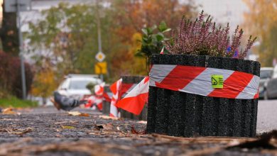 Katowice: Mieszkańcy Koszutki walczą z dzikim parkowaniem i stawiają klomby z roślinami!