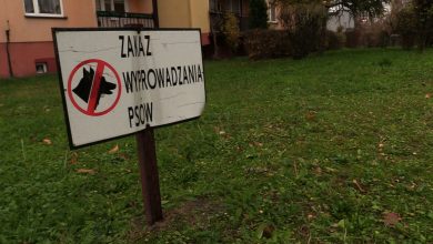 Gliwice: Spółdzielnia mieszkaniowa wprowadza zakaz wyprowadzania psów! Czy to legalne?