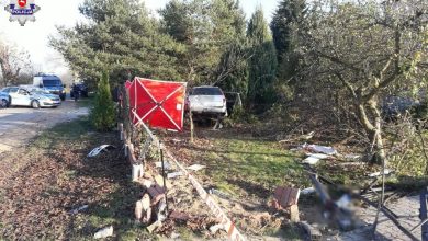 Uderzył w przyłącze energetyczne, drzewo i ogrodzenie posesji. Kierowca forda mondeo zginął na miejscu (fot.Policja Lubelska)