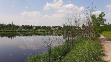 Świętochłowice: Staw Kalina (fot. swiony.pl)