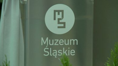 4 tysiące eksponatów, ćwierć miliona gości. Muzeum Śląskie podsumowało 2019 rok