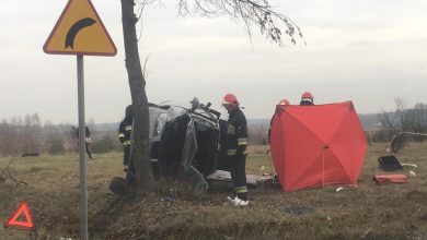 Uderzyła w drzewo. Zginęła na miejscu. Nie miała zapiętych pasów [ZDJĘCIA] (fot.Policja Łódzka)