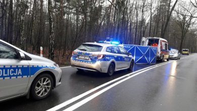 Mikołów: Tragiczny wypadek na Owsianej. Matka prowadzącej osobówkę zginęła na miejscu (fot.Śląska Policja)