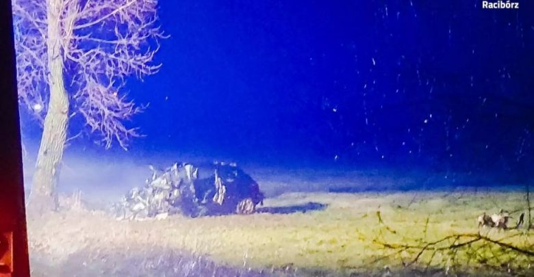 Tragiczny wypadek w Zerdzinach pod Raciborzem. W kompletnie zmiażdżonym samochodzie zginął 45-letni kierowca. (fot.policja)