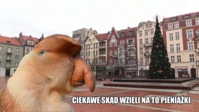 Ależ kwota! Bytom będzie miał rekordowy budżet w 2020 roku! (fot.własne/pixabayy.com)