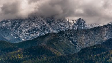 Tragedia pod Giewontem. Odznaczenia dla tych, którzy pomagali w akcji ratunkowej w Tatrach (fot.poglądowe/www.pixabay.com)