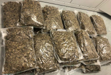 Miał rozmach! 11 kilogramów marihuany w mieszkaniu! (fot.policja.pl)