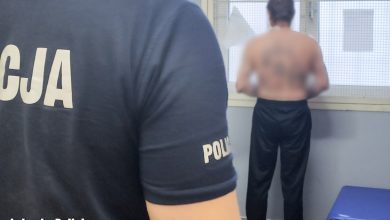 Ona z rozbitym szklem, on z pięściami i psem. Brutalny napad na policjantów (fot. Policja Lubuska)