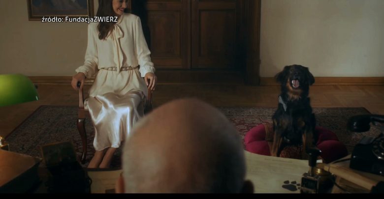 W spocie Zagrali Mirosław Neinert dyrektor teatru Korez i aktorka Joanna Osyda. W klipie debiutował pies Spinner – to jeden z psów oczekujących od lat na adopcję w pszczyńskim ośrodku Arkadia