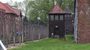 Koszmar KL Auschwitz dla nich nigdy się nie skończy. Byli więźniowie hitlerowskiego obozu opowiadają o świecie zza drutów
