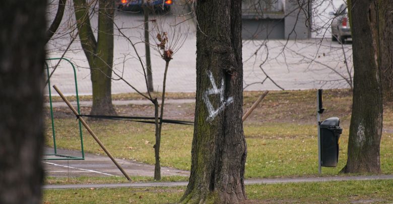 Katowice: Ruch Chorzów do góry nogami. Kibole zniszczyli drzewa!