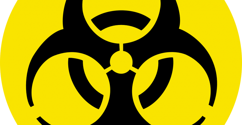 Zabójczy koronawirus 2019-nCoV dotarł z Chin do Europy? Główny Inspektorat Sanitarny wydał KOMUNIKAT! (fot.pixabay.com)
