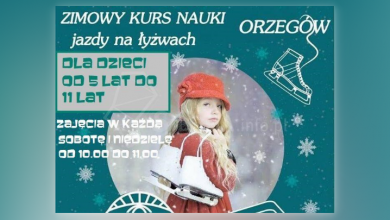 Ruda Śląska: Bezpłatny kurs jazdy na łyżwach (fot. rudaslaska.com.pl)