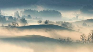 Uwaga! Dziś w nocy i jutro nad ranem wystąpi duża mgła! Fot. UM Bytom